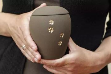 宠物殡葬高价套餐近万元 是温情送别 还是暴利生意？