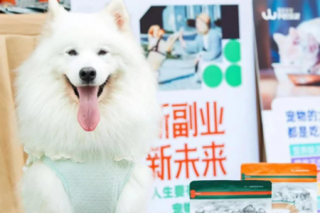 智慧养宠时代来临，科技如何重塑3000亿“它经济”新生态