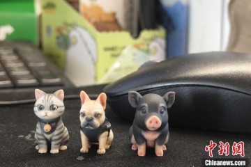 定制宠物纪念品热 消费者在仪式感中寻找情感出口